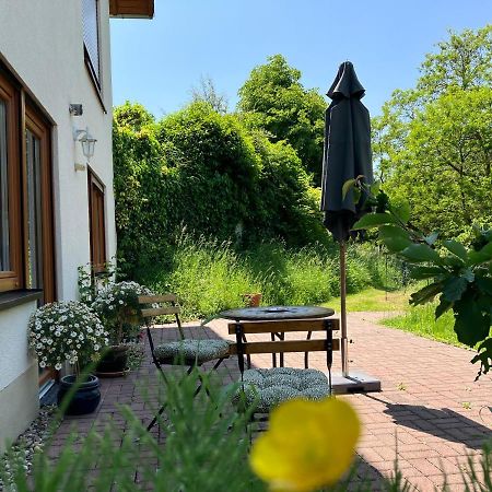 Ferienwohnung Im Moselland Maring-Noviand Екстериор снимка