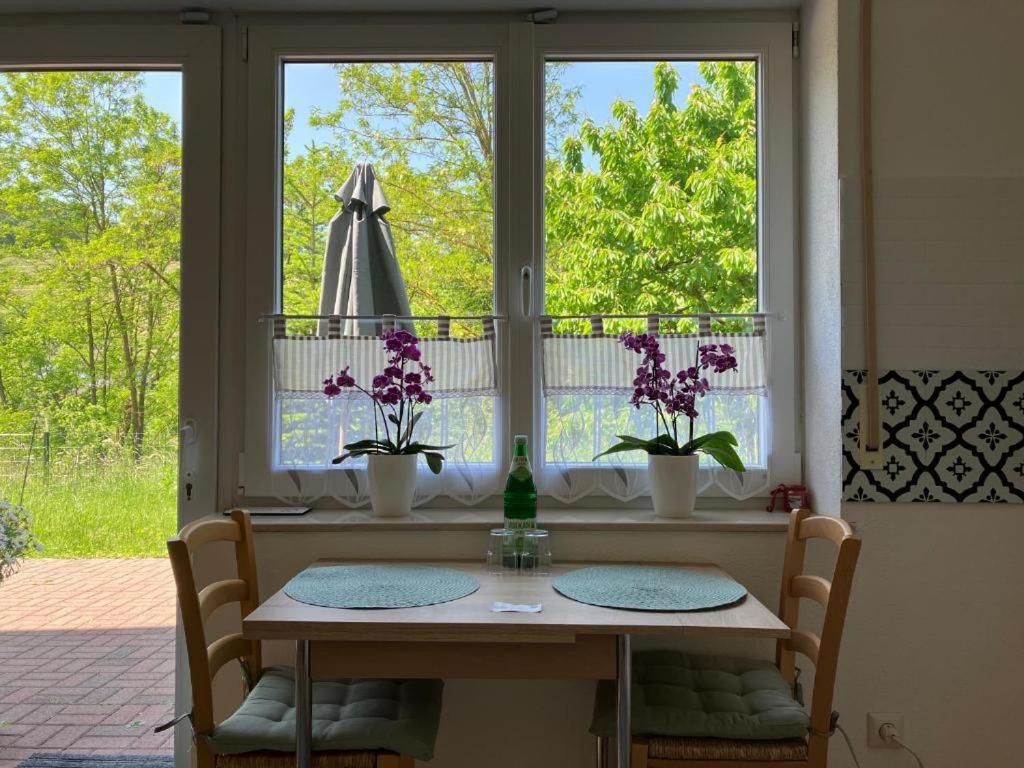 Ferienwohnung Im Moselland Maring-Noviand Екстериор снимка